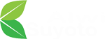 Abah Alwi Suyoto